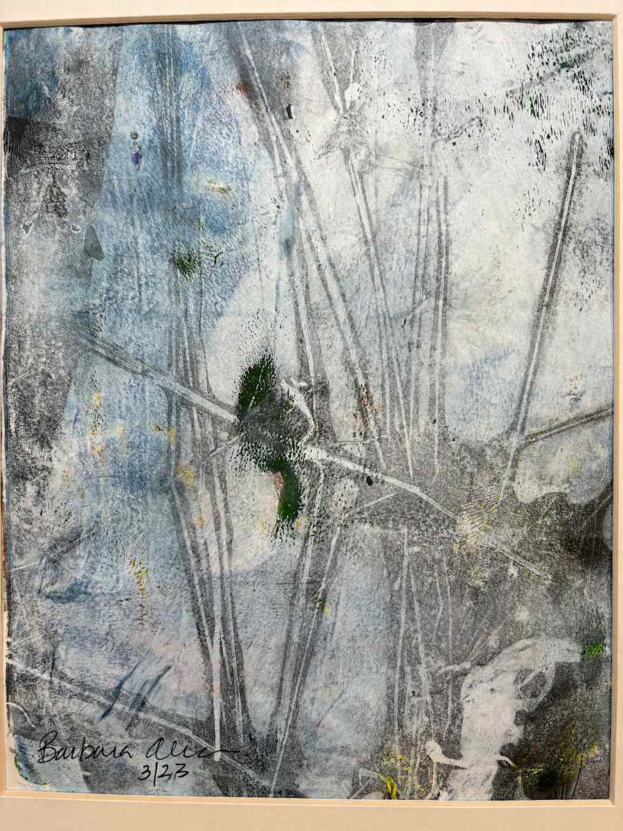 Is that a bird? by Barbara  Abram, Image 1.