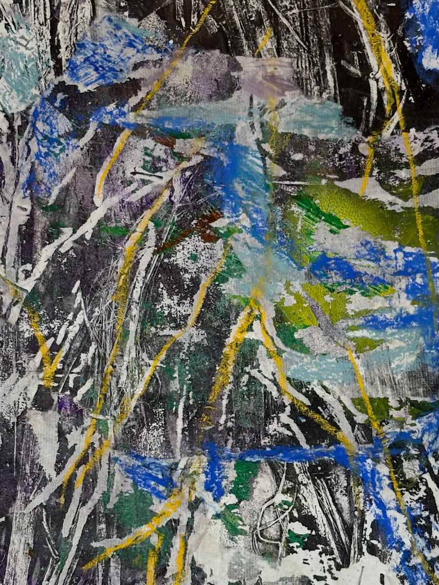 Hidden Lake by Barbara  Abram 