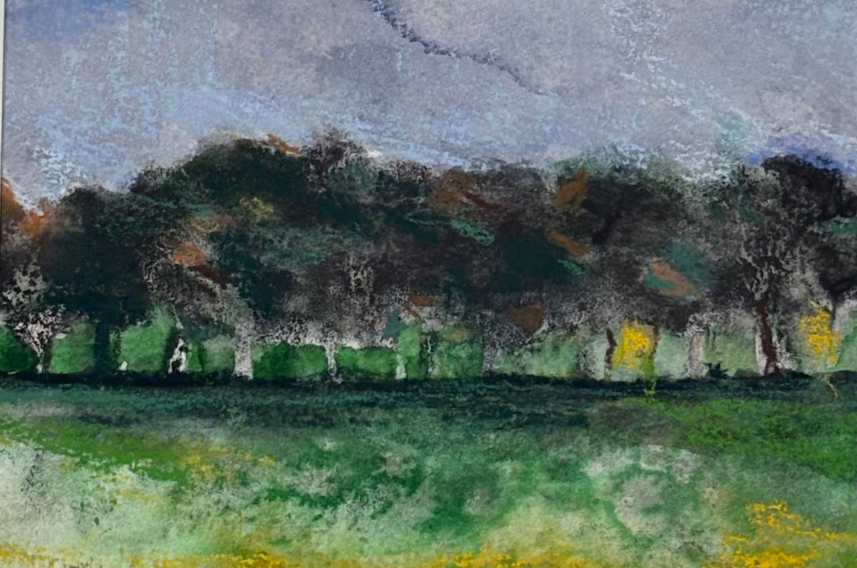The Grove by Barbara  Abram, Image 1.
