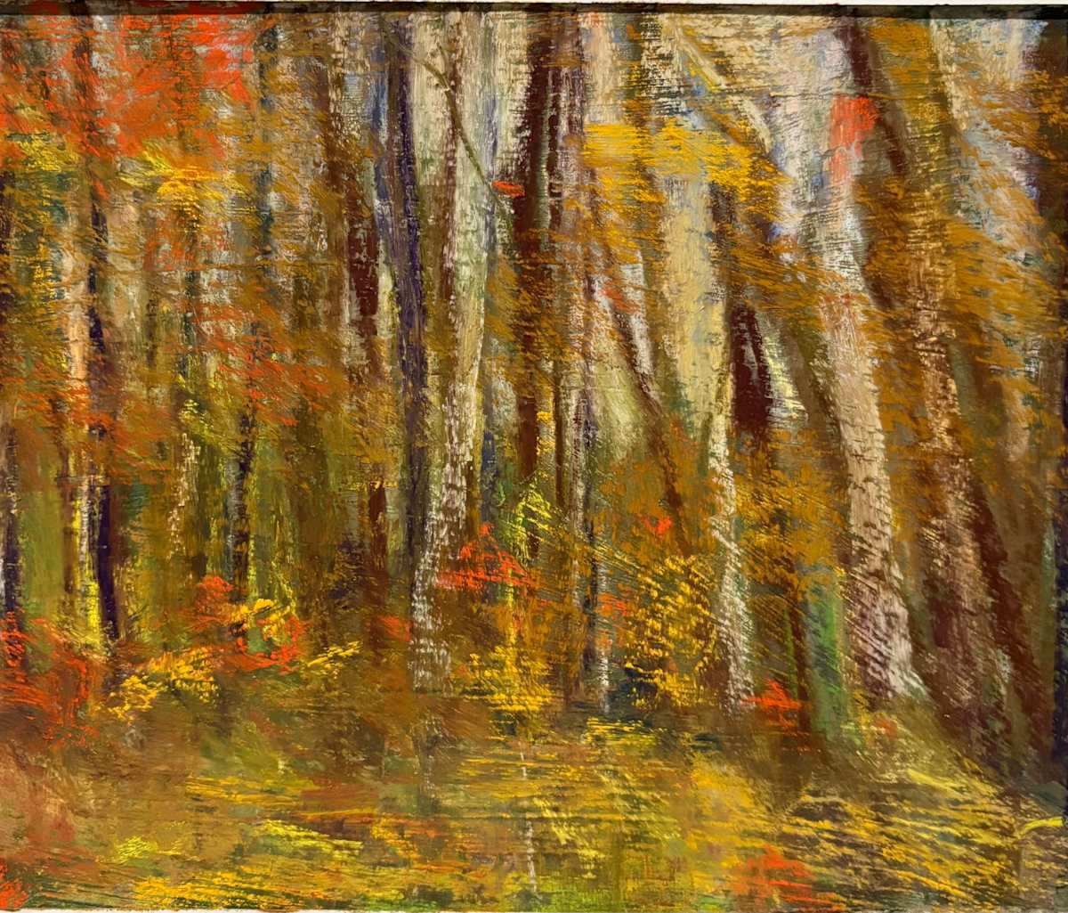 Wind Watch by Barbara  Abram 