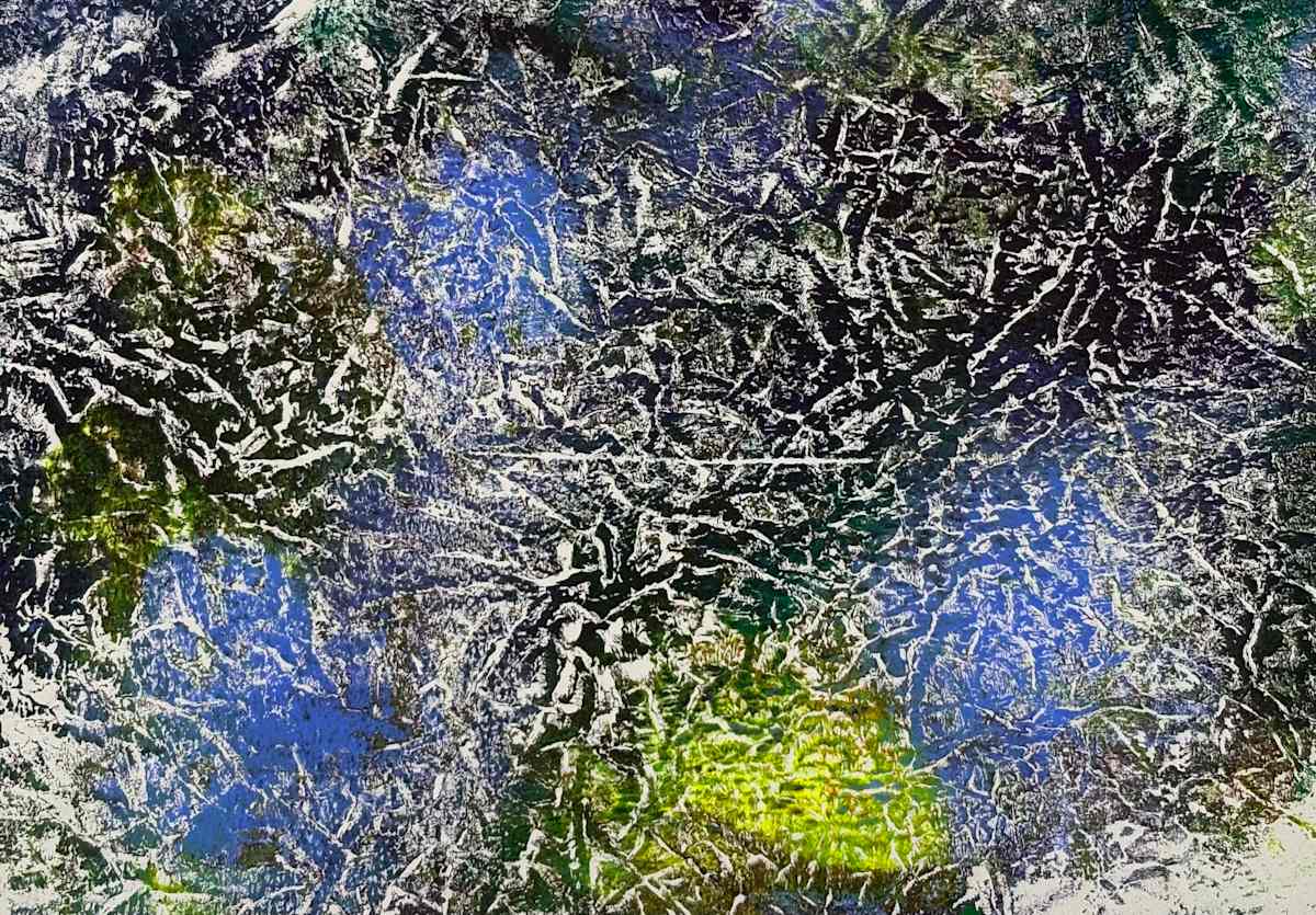 Treetops by Barbara  Abram, Image 1.