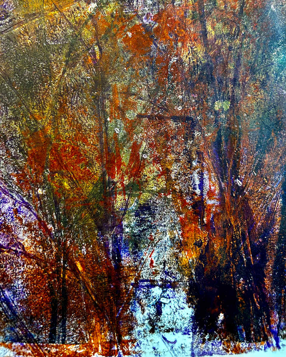 Winter Walk by Barbara  Abram 