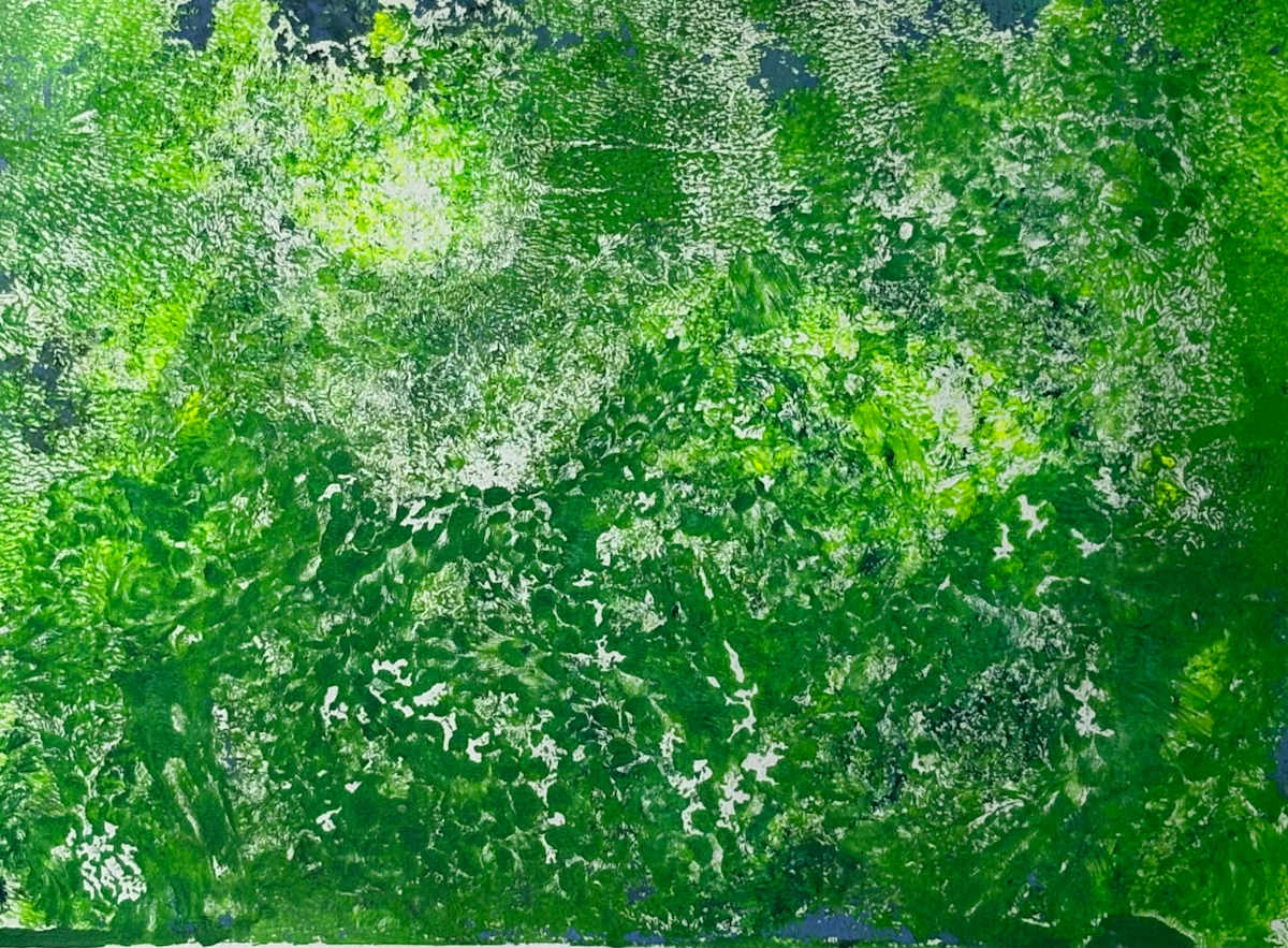 Fairway by Barbara  Abram, Image 1.