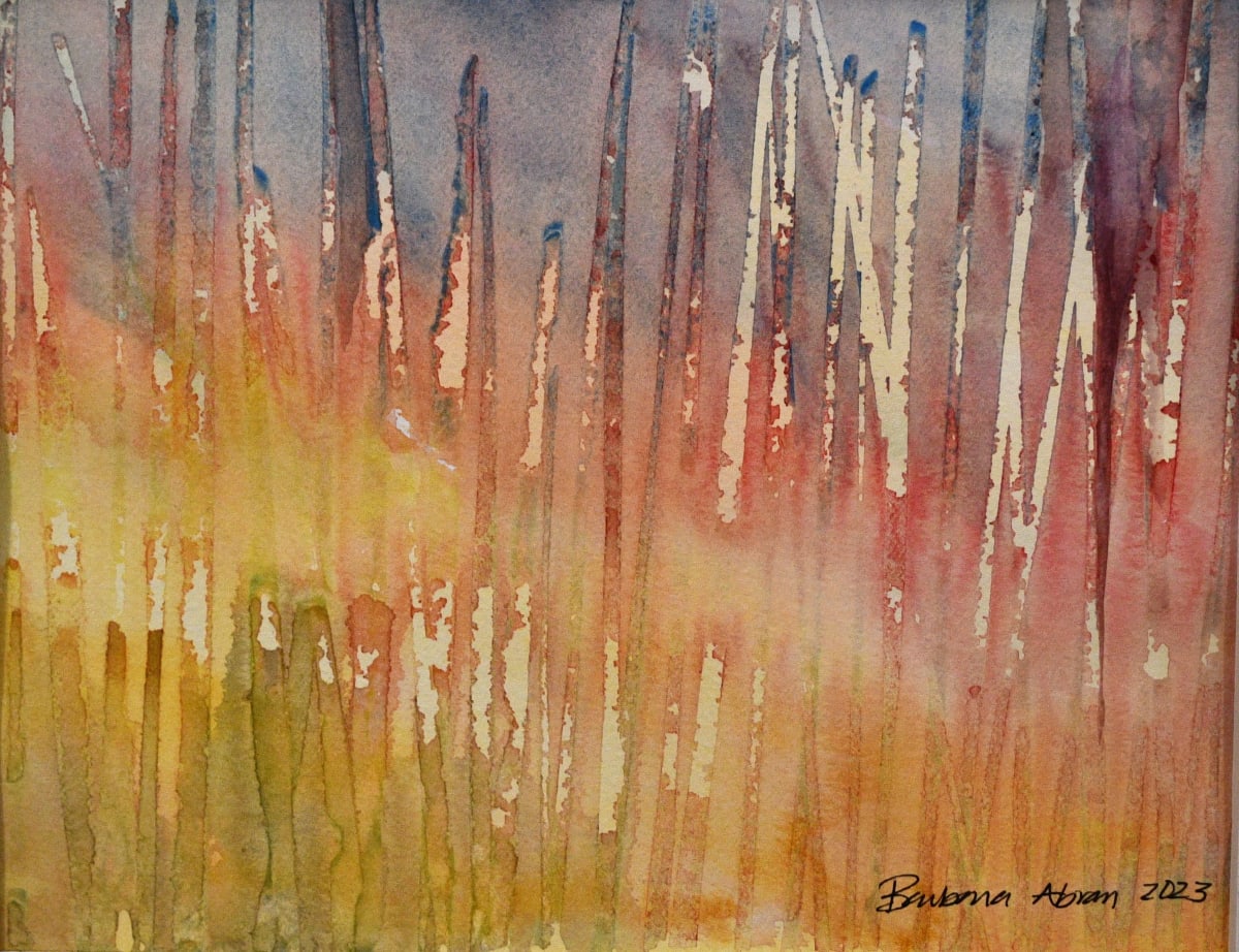 MIsty Woods by Barbara  Abram, Image 1.
