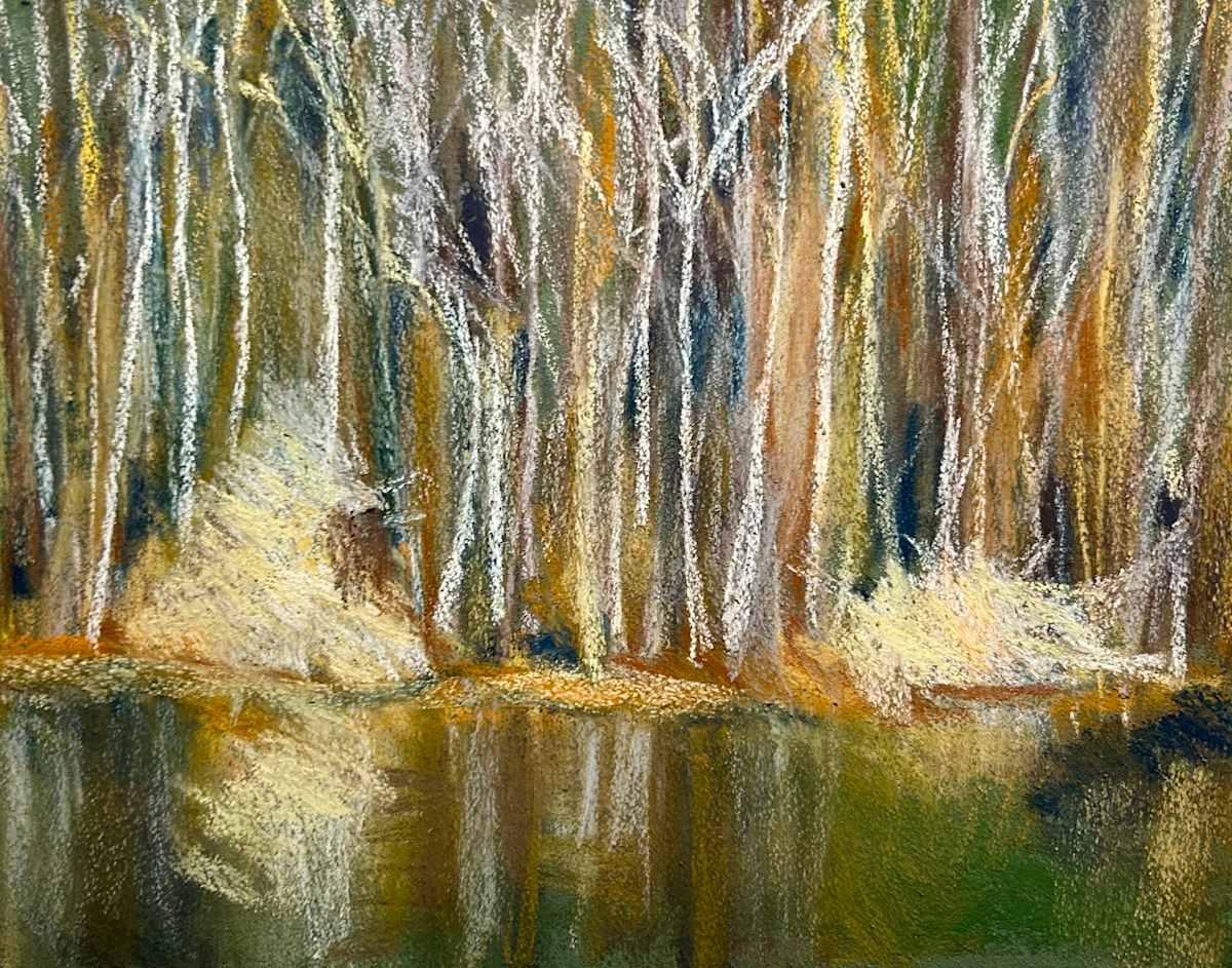 Swan Lake Reflection by Barbara  Abram 