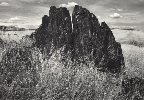 Metamorphic Rock and Summer Grass, Foothills, The Sierra Nevada, California by Ansel Adams 