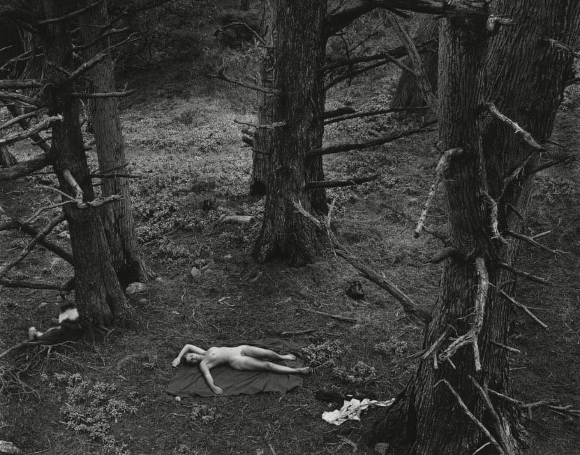 Woman and Dog in Forest by Wynn Bullock 
