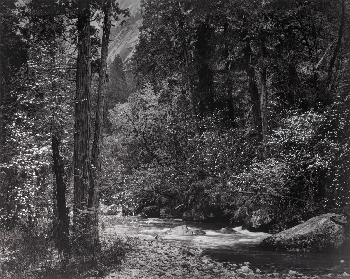 Tenaya Creek, Dogwood Rain by Ansel Adams 