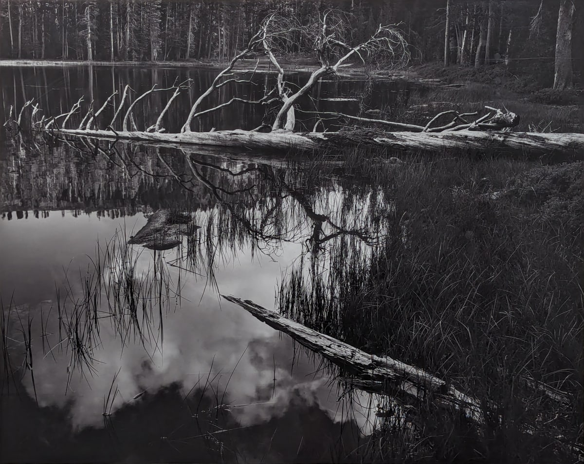 Siesta Lake, Yosemite National Park by Ansel Adams 