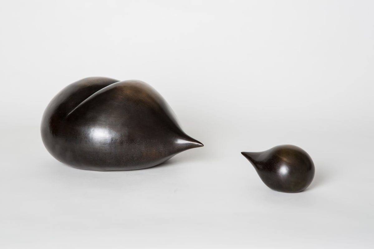 Bubble Drop by Nikki Renee Anderson 