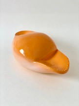 Orange Bubble Flora by Nikki Renee Anderson 