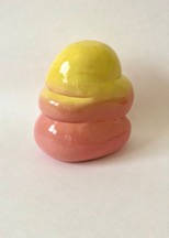 Yellow & Pink Bubble Flora by Nikki Renee Anderson 