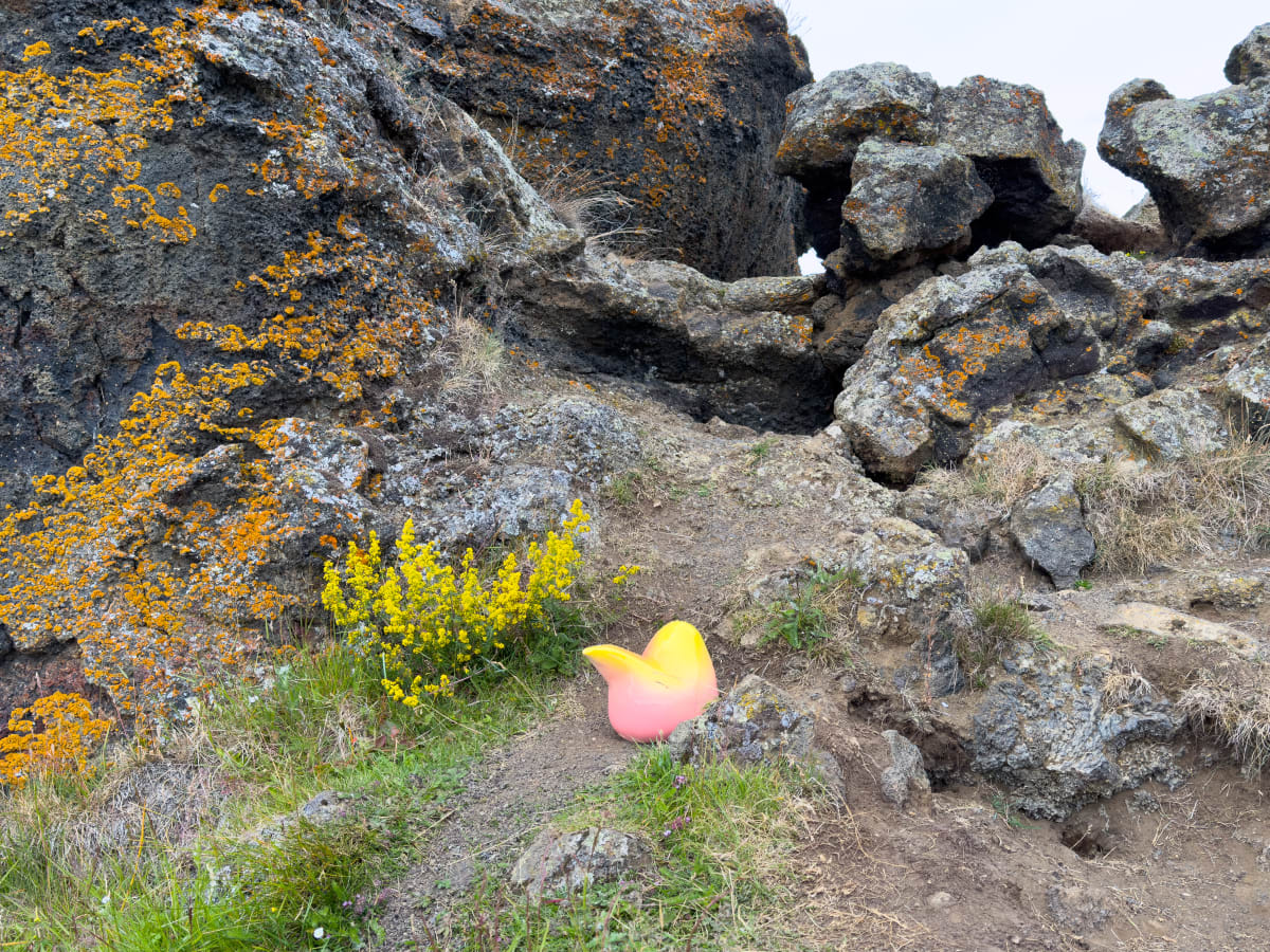 Icelandic Summer Garden 3 by Nikki Renee Anderson 