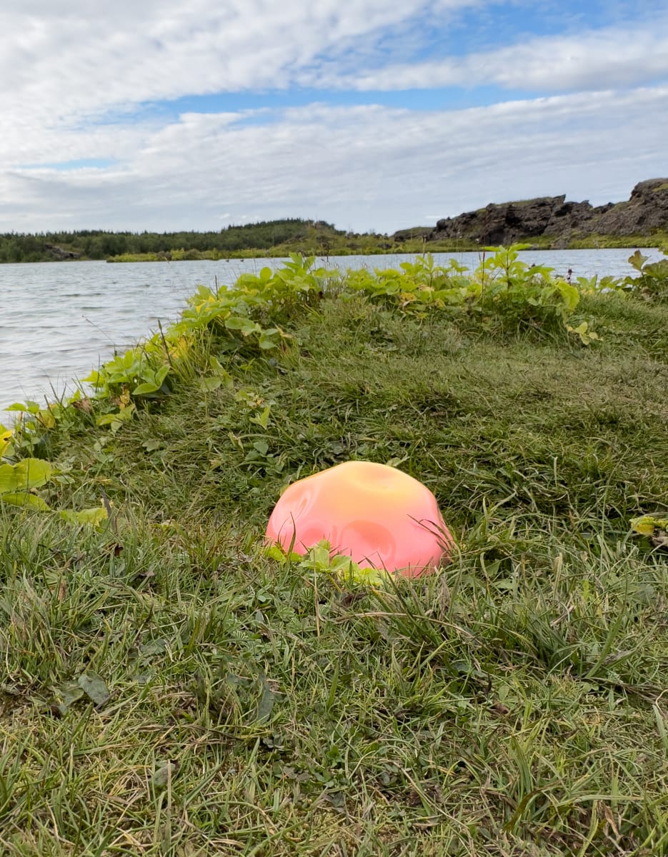 Icelandic Summer Garden 2 by Nikki Renee Anderson 