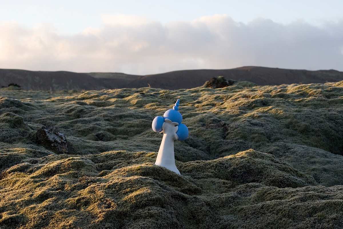 Icelandic Garden 1 by Nikki Renee Anderson  Image: edition of five