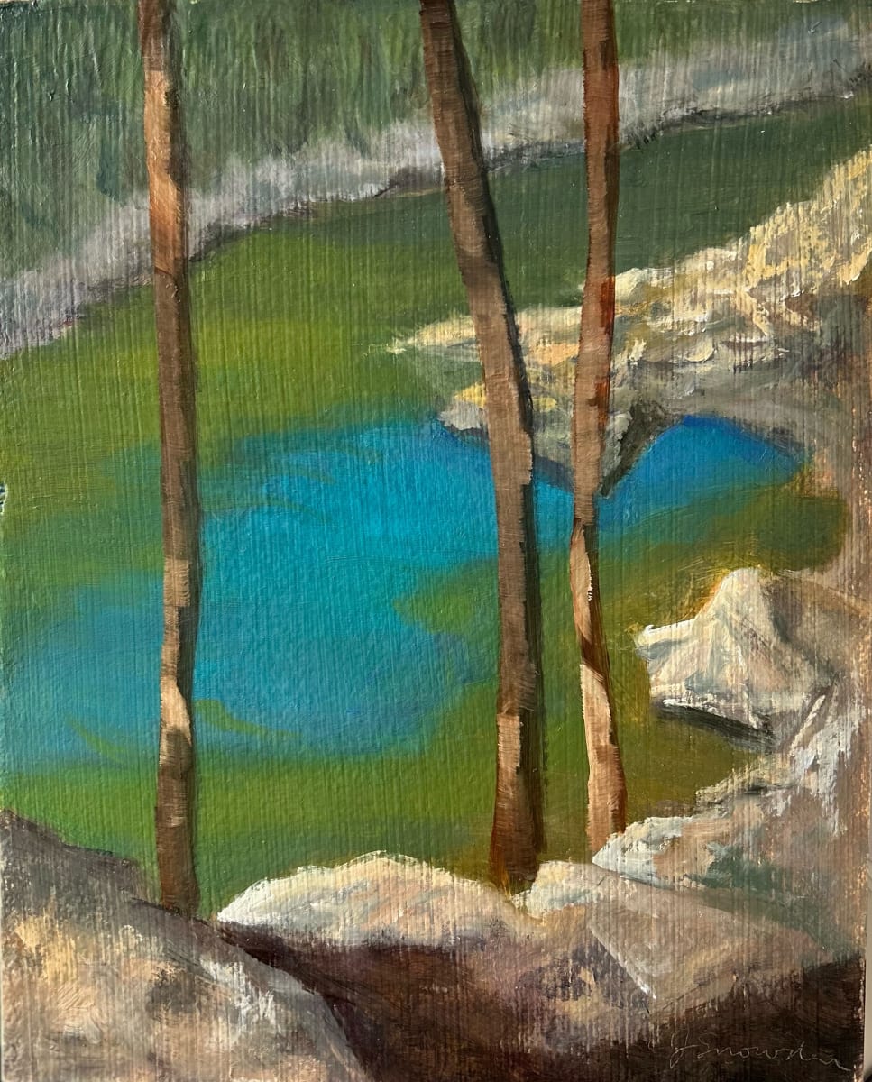 The Swimming Hole by Janie Snowden 