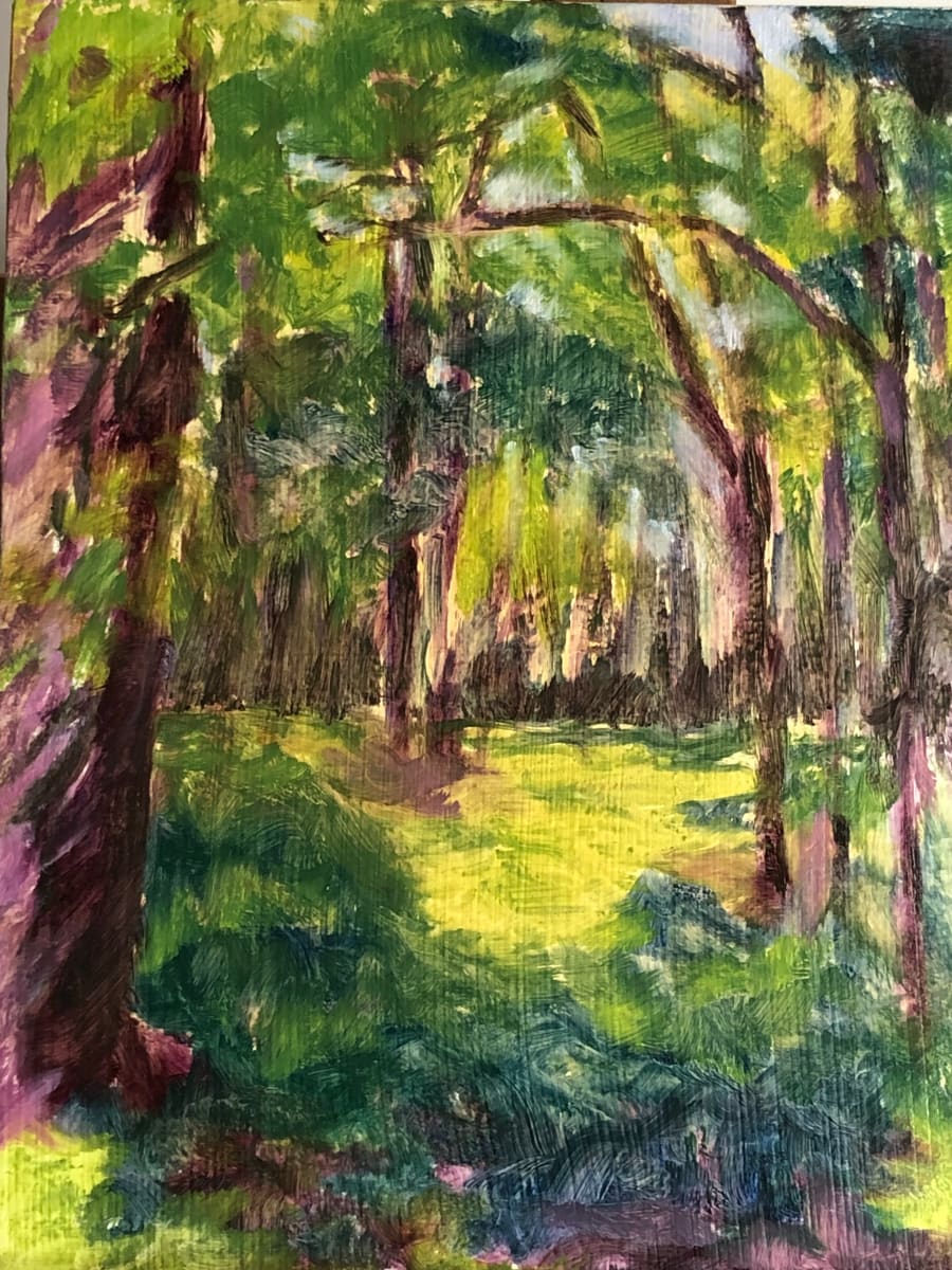 A Walk in the Woods by Janie Snowden 