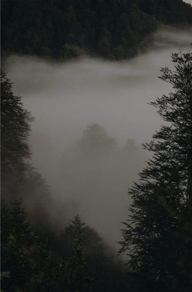 Fog is the thought of mountains 2 by Yana Smietana 