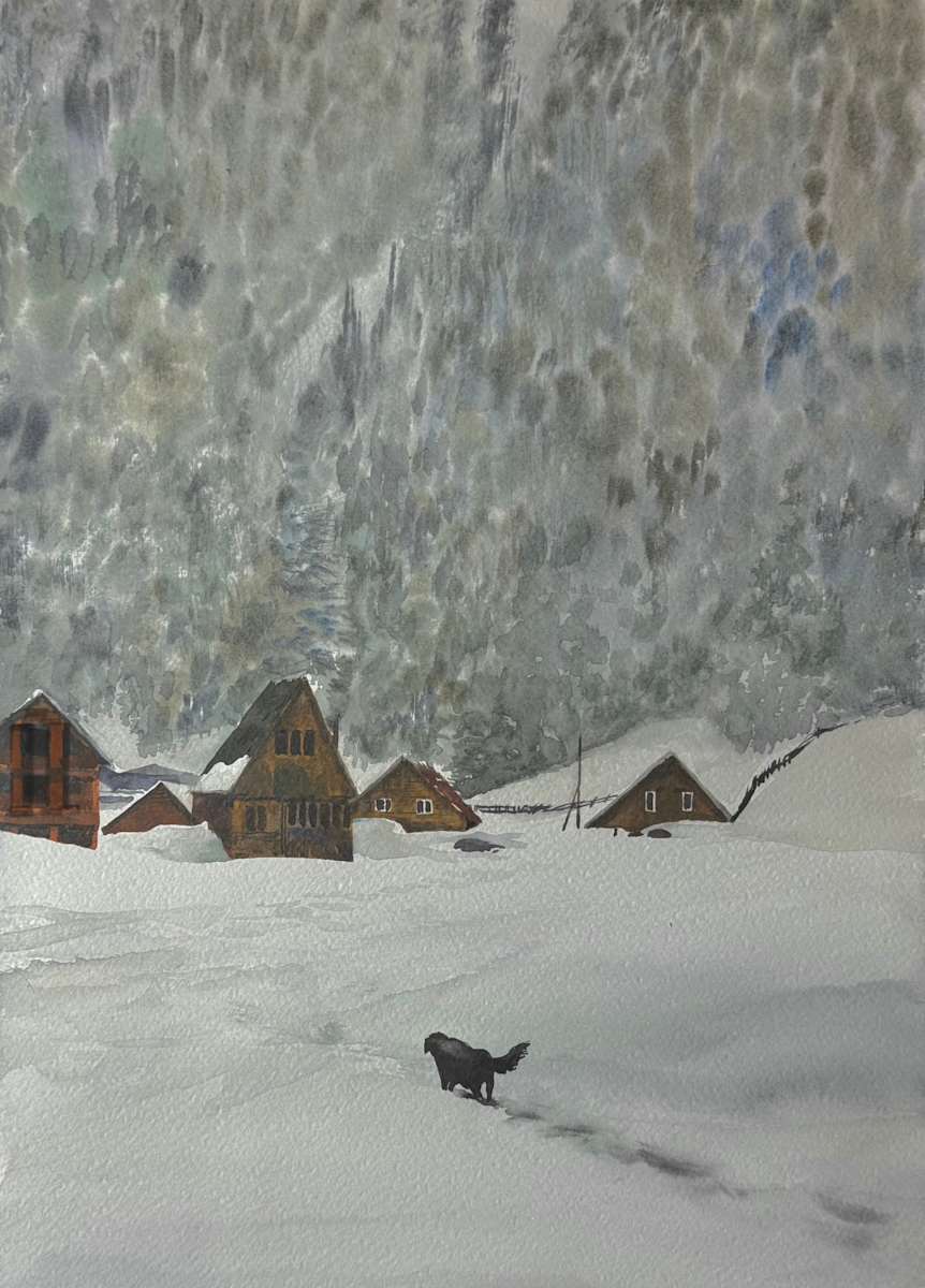 Bakhmaro by Tedo Rekhviashvili 