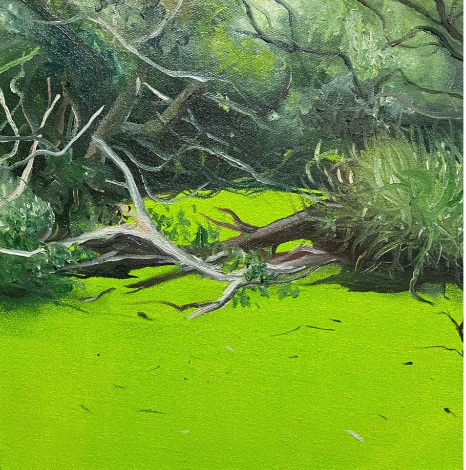 Swamp by Mako Lomadze 