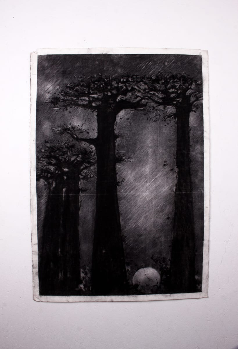 “Baobabs at dusk” Print by Lwazi Hlophe  Image: “Baobabs at dusk” Print