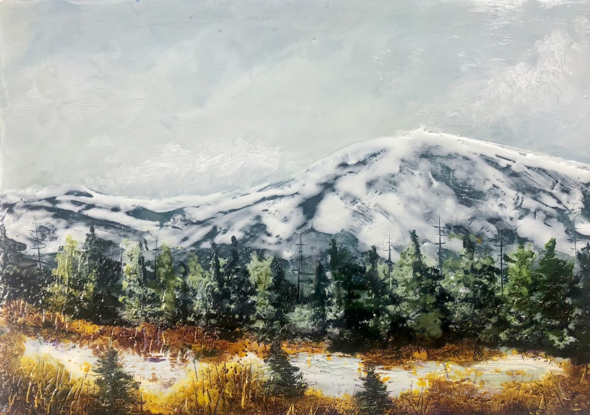 Guanella Pass-Spring Thaw by Jennifer Wilson 