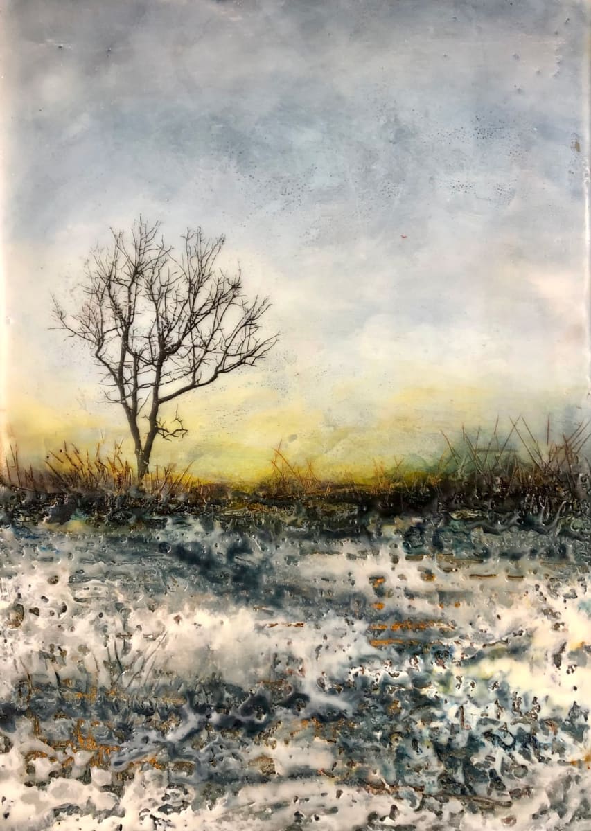 Winter's First Light by Jennifer Wilson 