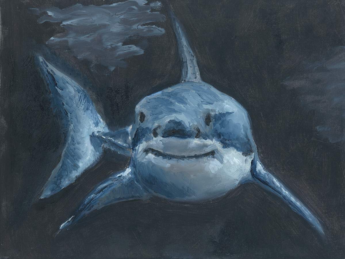 Shark 1 by Claire Partin, Image 8.
