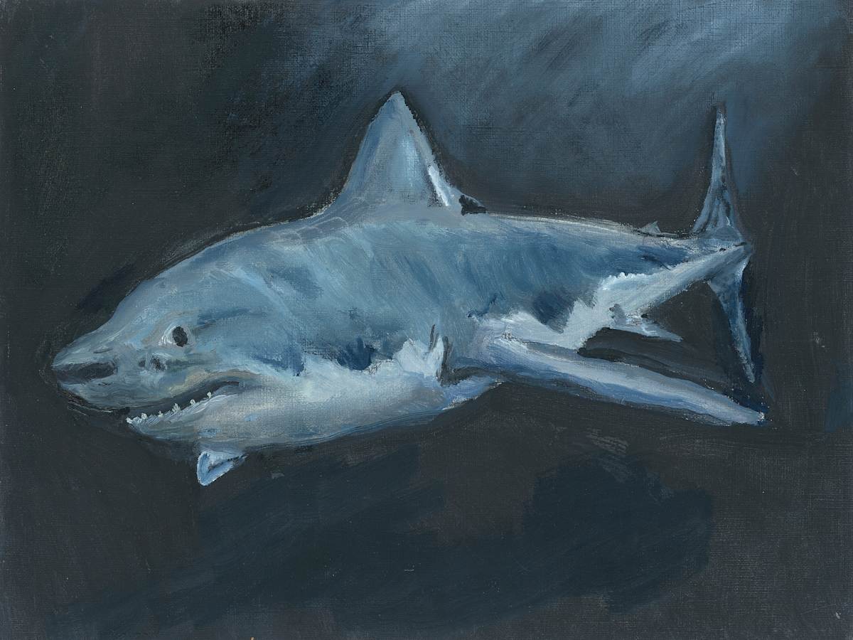 Shark 2 by Claire Partin, Image 2.