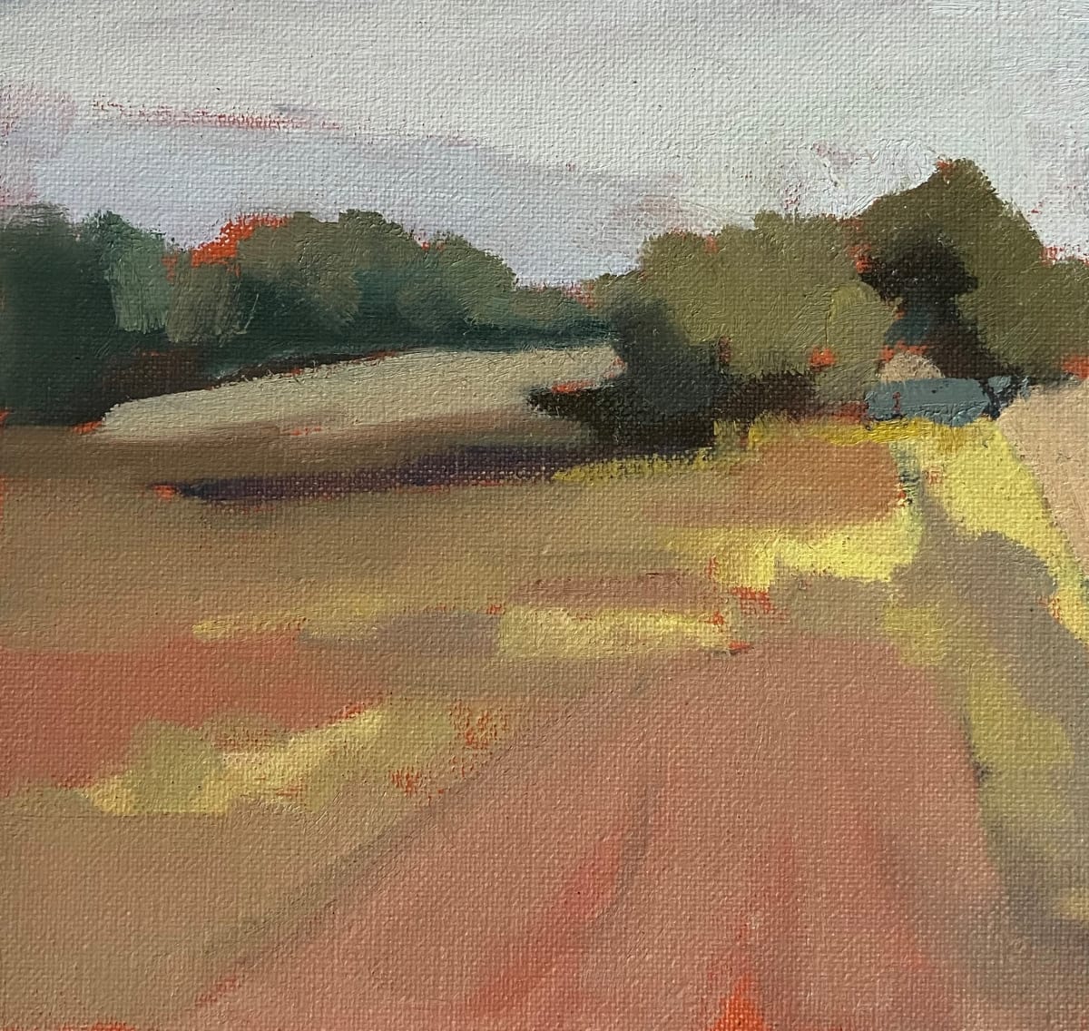 Fallow Fields by Lesley Powell 