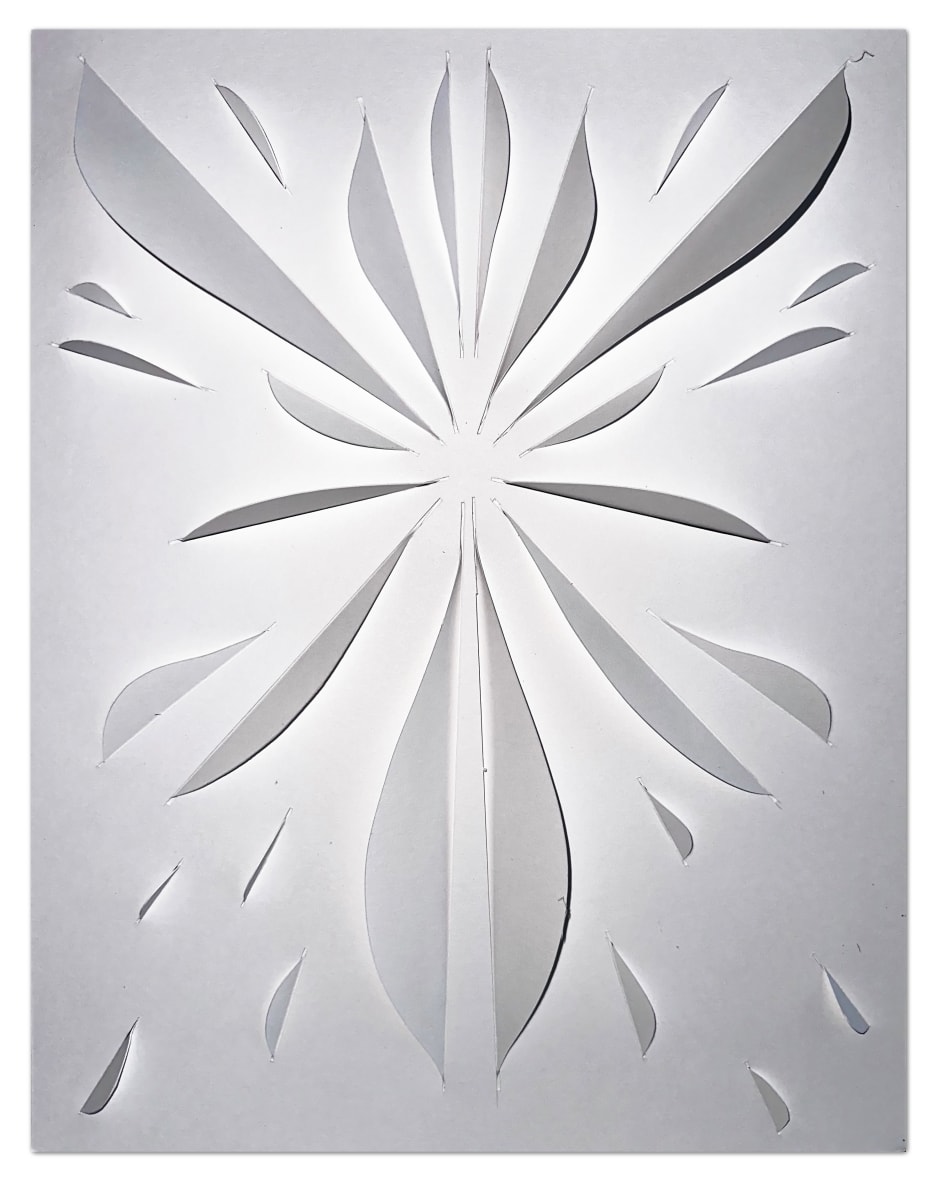 Vela Junior by Seffa Klein, Image 4.