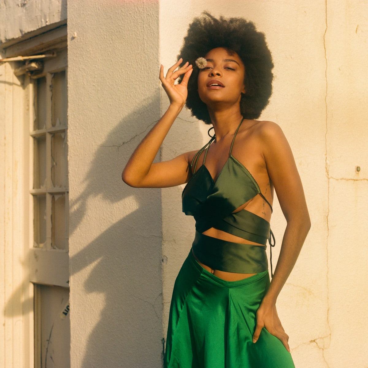 brown skin, green dress 7/10 by sydney a foster 