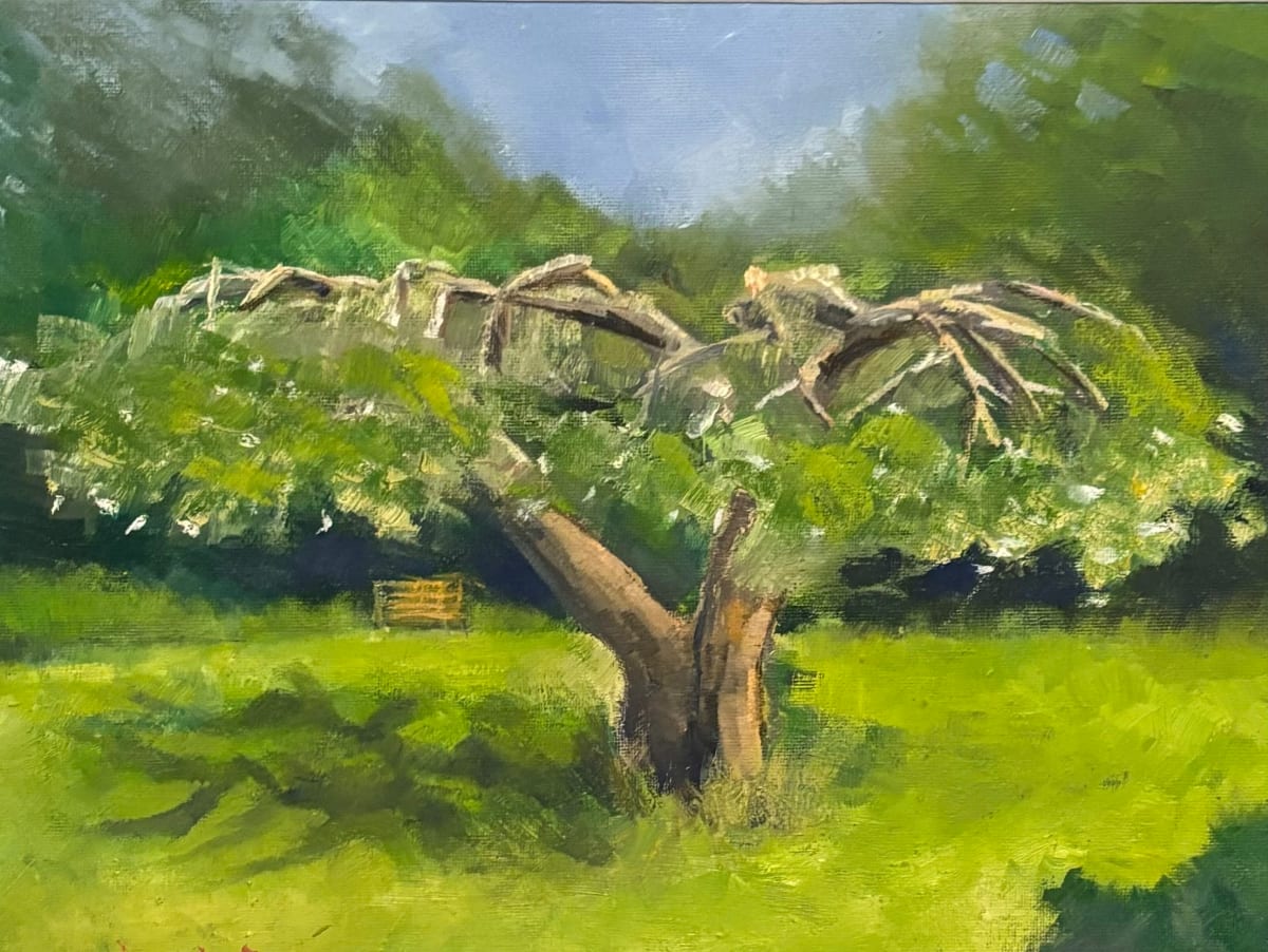 Hellerup Apple Tree by Richard W Diego 