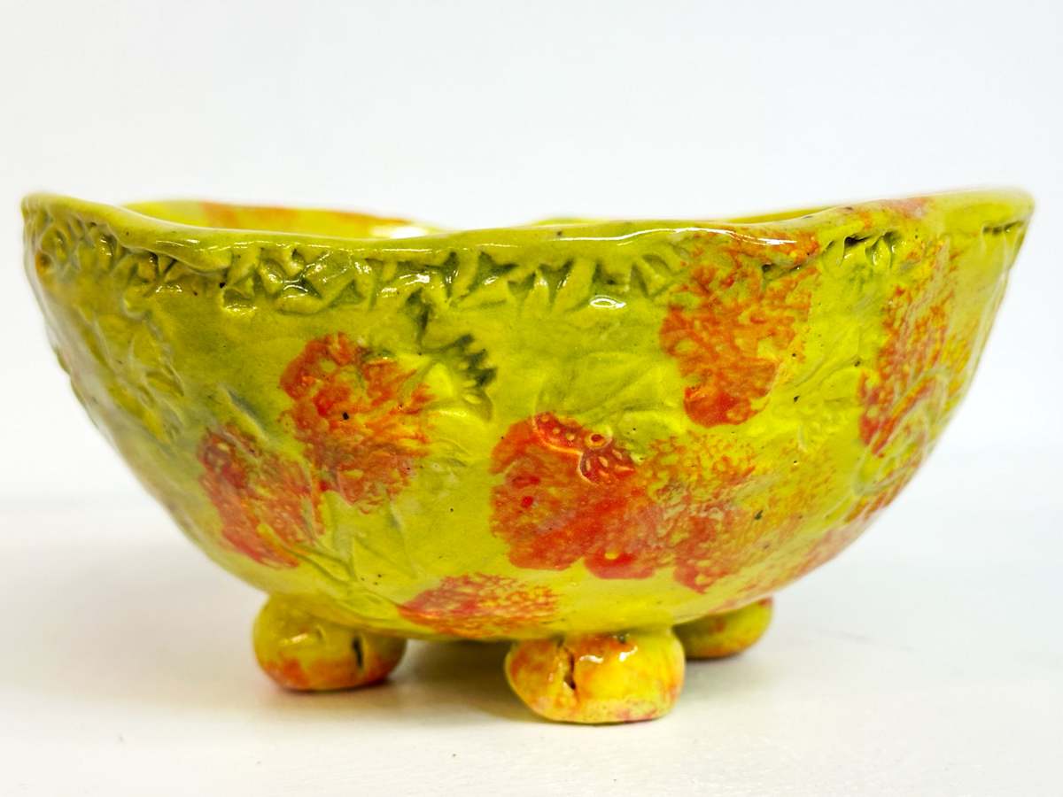 Sunshine Bowl by Ben Robertson 