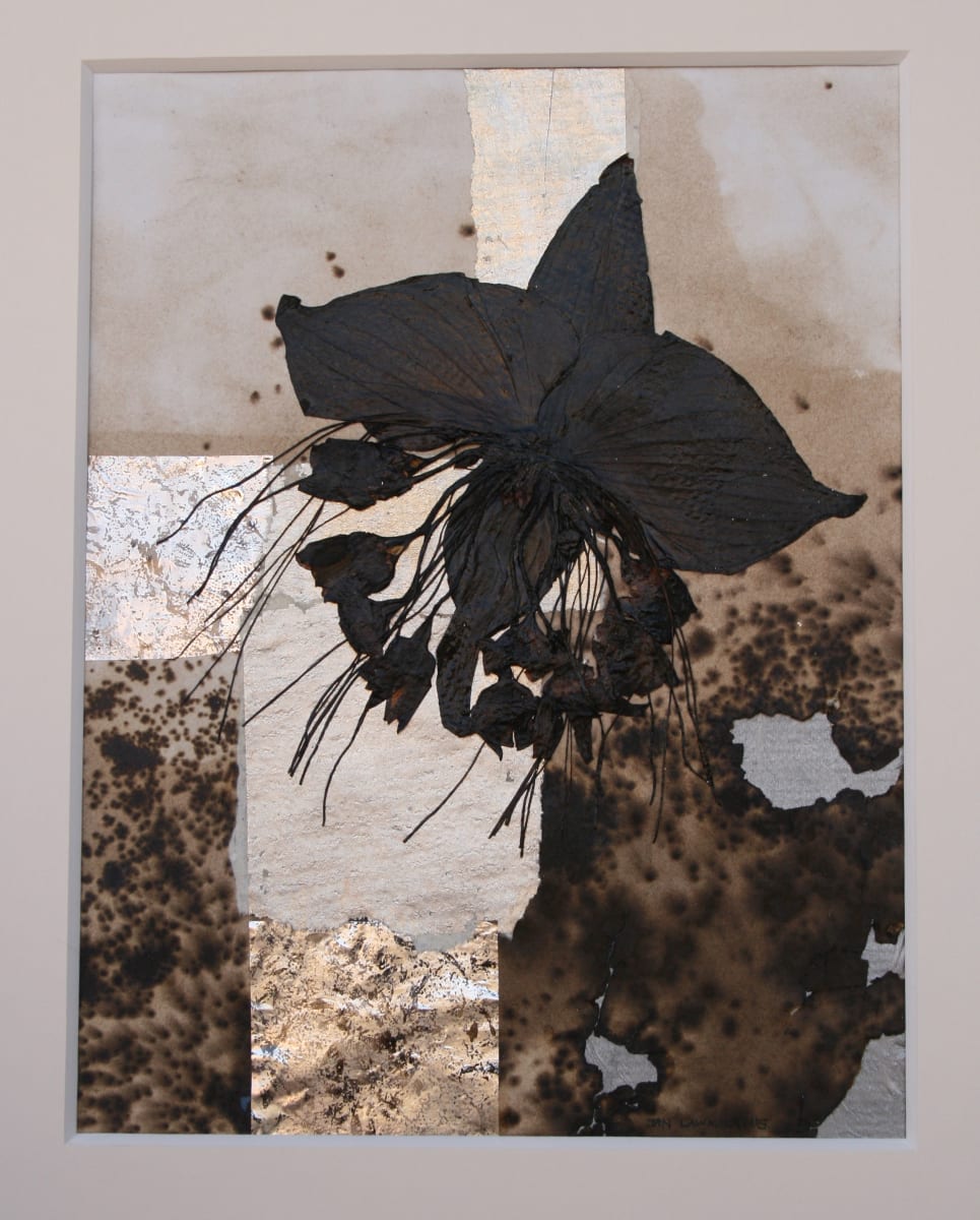 Pressed For Time - Batflower by Jan Lawnikanis 