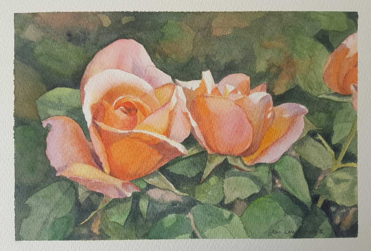 Apricot Hues by Jan Lawnikanis 