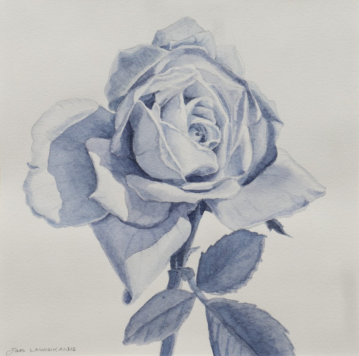 Blue Rose by Jan Lawnikanis 