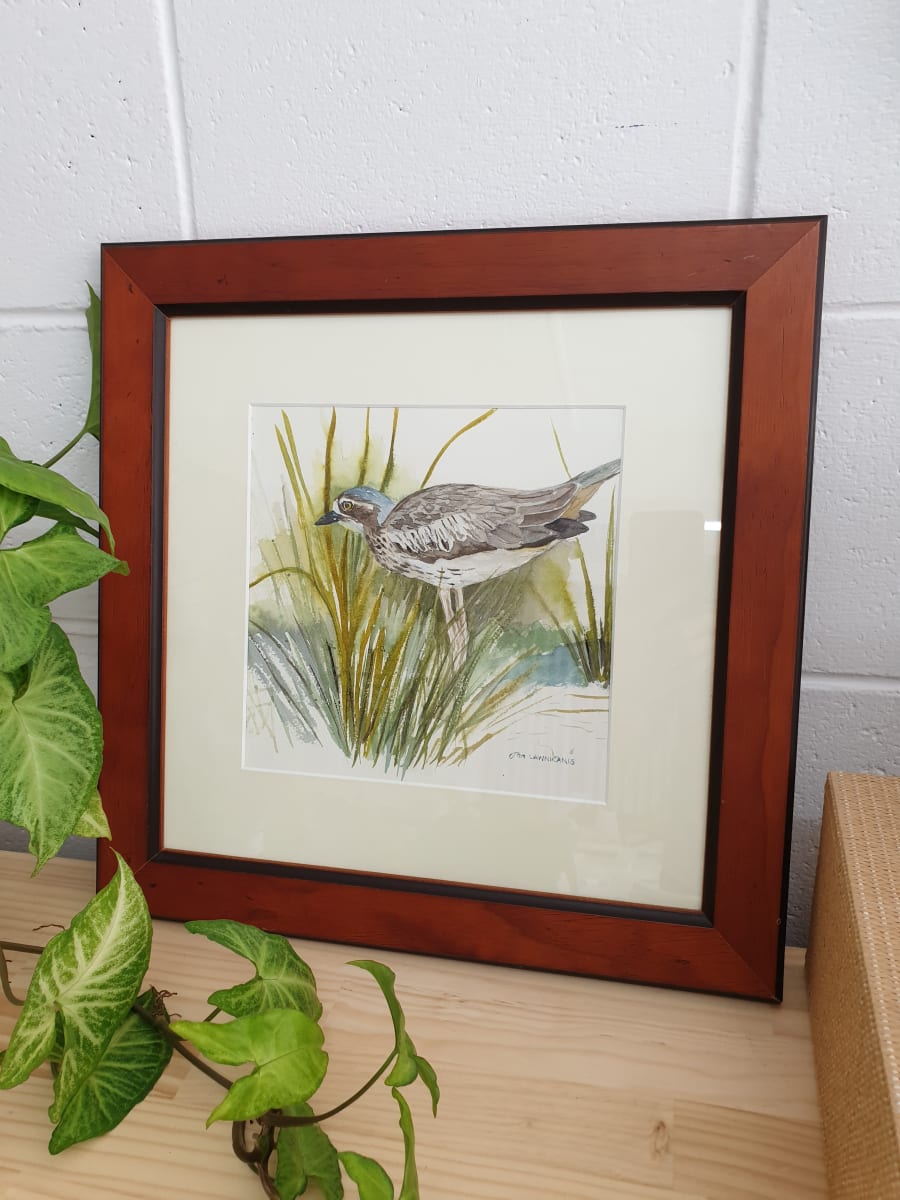 Cairns Curlew by Jan Lawnikanis 