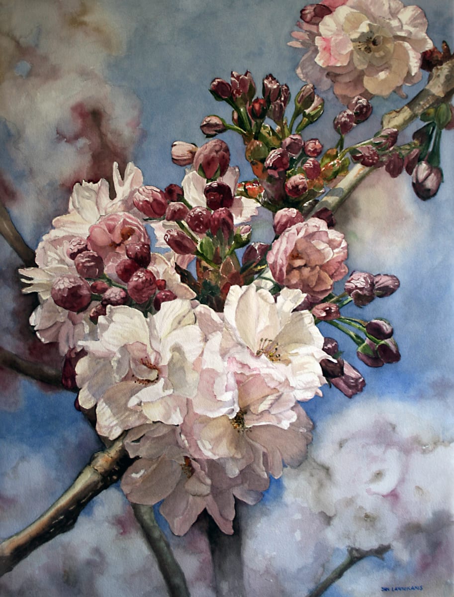 Genesis by Jan Lawnikanis 