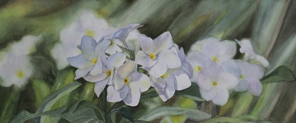 Scented Beauties by Jan Lawnikanis, Image 1.