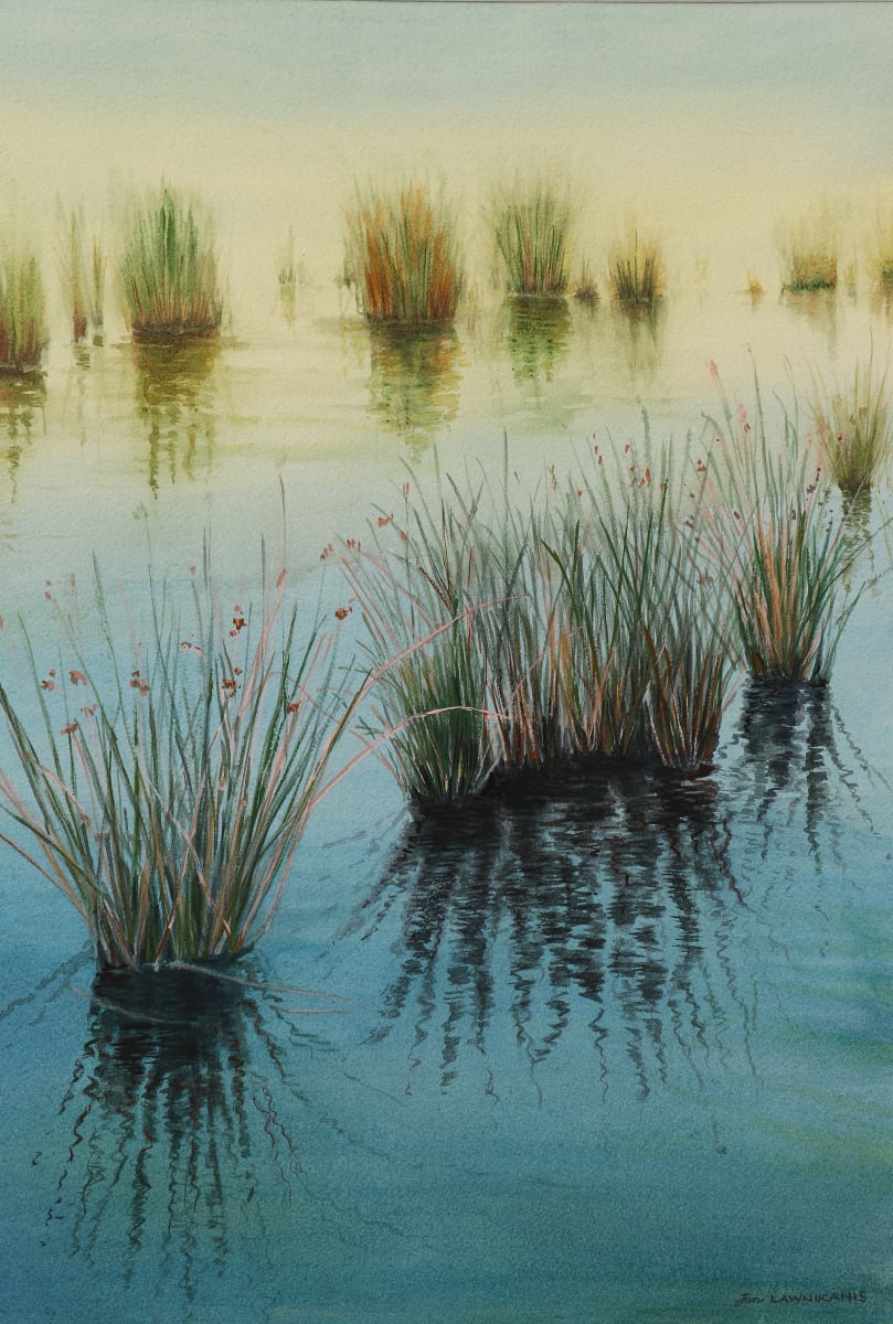 Banora 2 by Jan Lawnikanis 