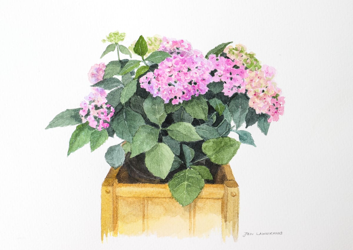 At the Florist 2 by Jan Lawnikanis 