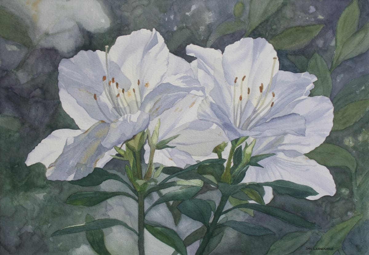 Mt Cootha Afternoon by Jan Lawnikanis, Image 1.