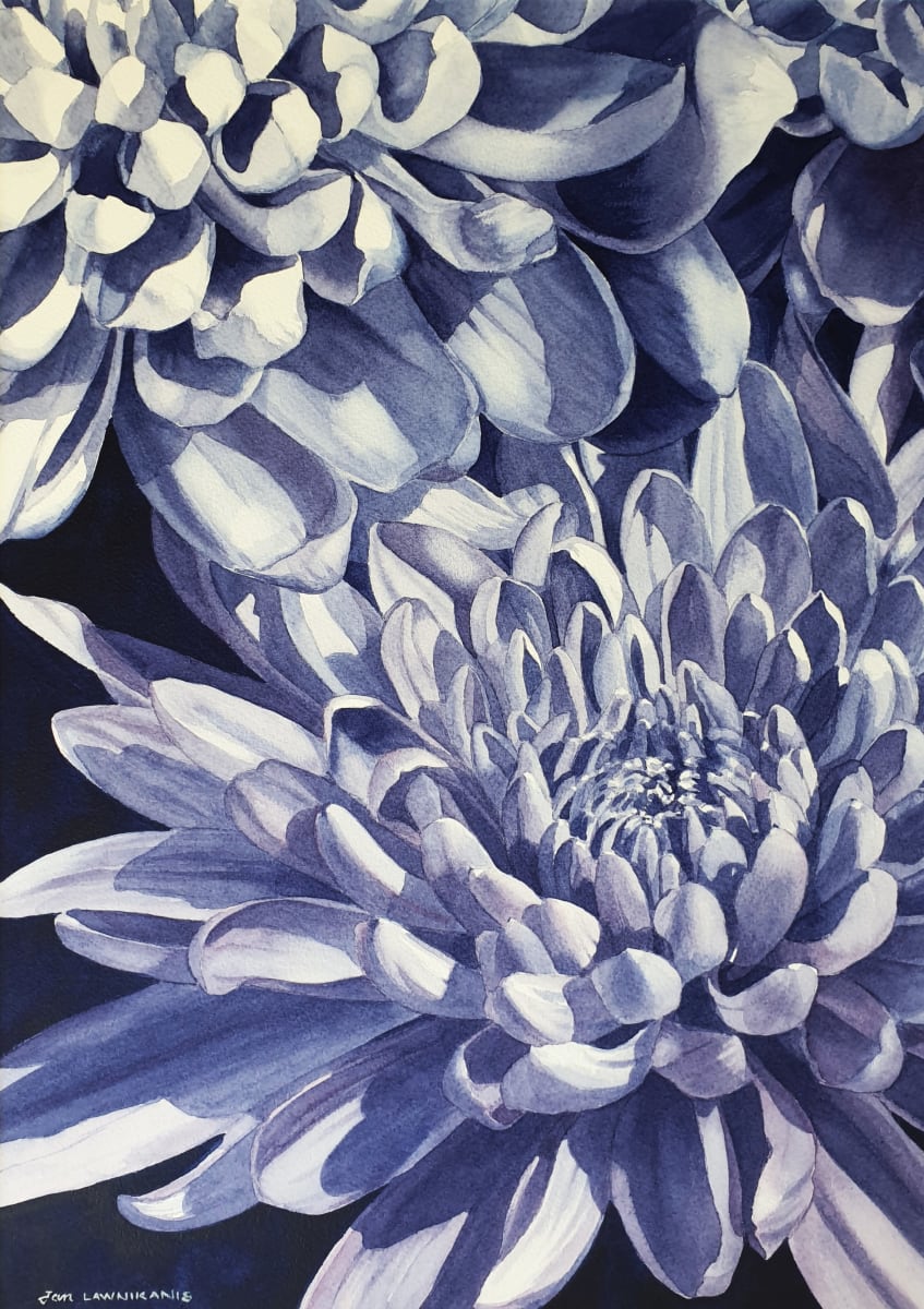 In Full Bloom by Jan Lawnikanis 