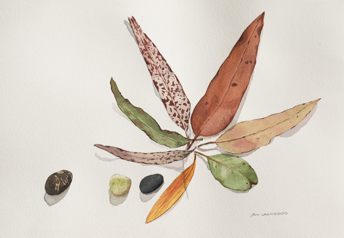 Leaf Series 4 by Jan Lawnikanis 