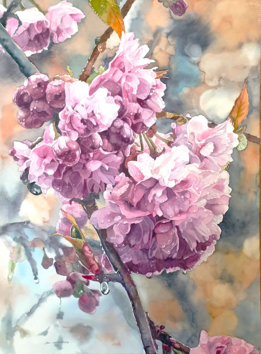 Showers of Blessing by Jan Lawnikanis 
