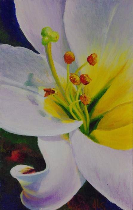 Hello Dolly by Judy Leila Schafers, Image 1.