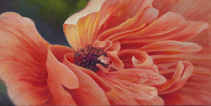 Peachy Keen by Judy Leila Schafers  Image: This gorgeous perennial poppy came from my Grandmother's garden just like several other lovely flowers that now reside in my yard. So many warm reminders of time spent with her and the things we had in common; a love for flowers being one of them.
I don't often work with these particular colors. It's a good little challenge for me to practice creating believable highlights and shadows without making the flower look drab. Because of the intense heat, their show was short-lived this spring.