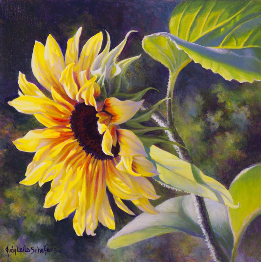 Basking in the Glow  Image: Sure to bring a smile and a feeling of joy, sunflowers are always welcome sight. This one caught my eye as it bathed momentarily in the late  afternoon sun. Too soon, the magic dissipated as the light moved toward evening. Capturing this memory in paint was a pleasure indeed!