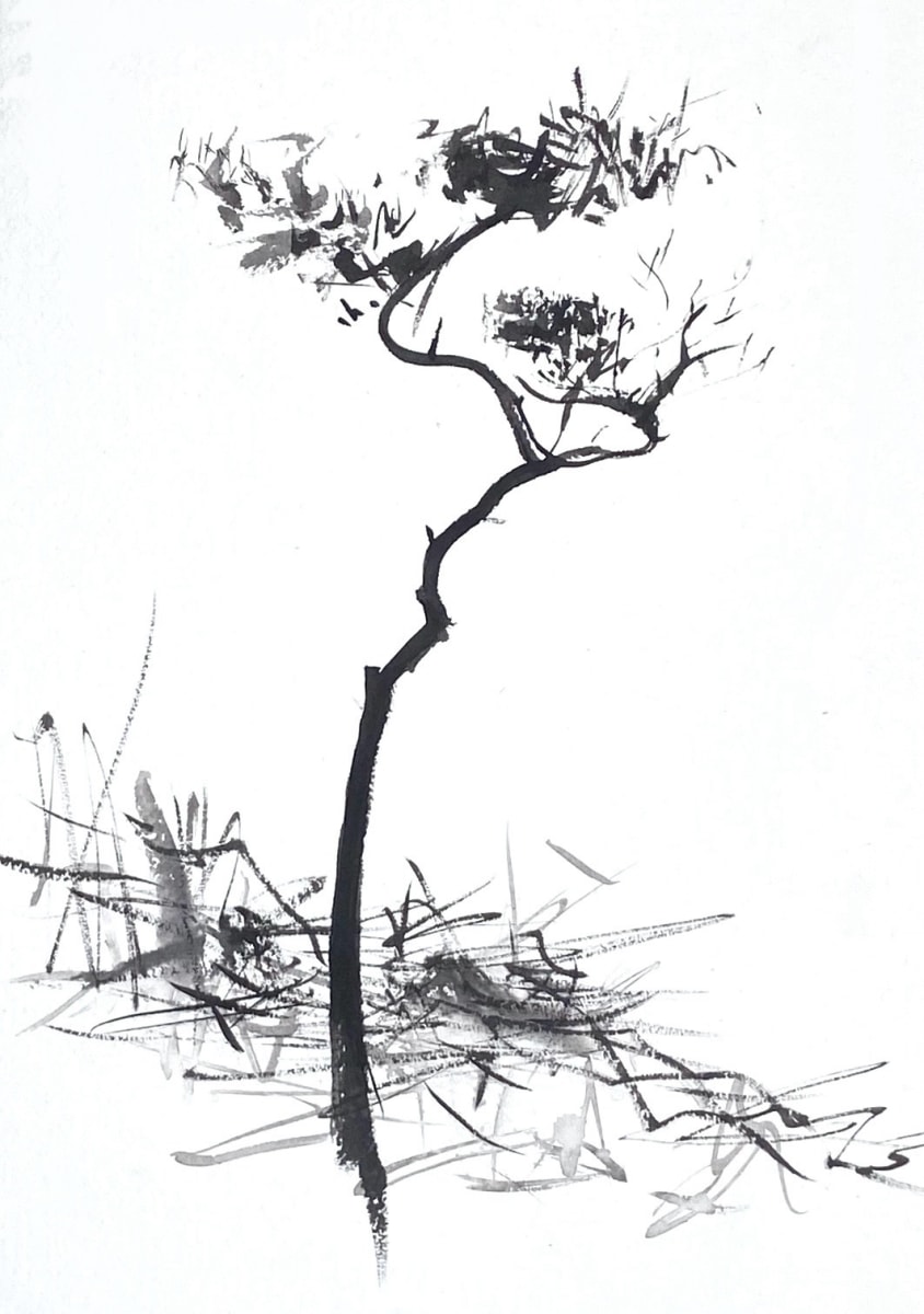 Tree Study 15/2/24 by Lisa Fenton O'Brien 